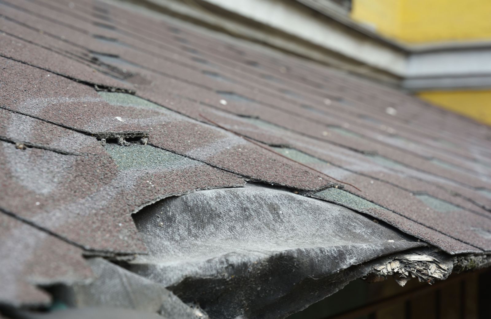 ZT Roofing and Construction Images