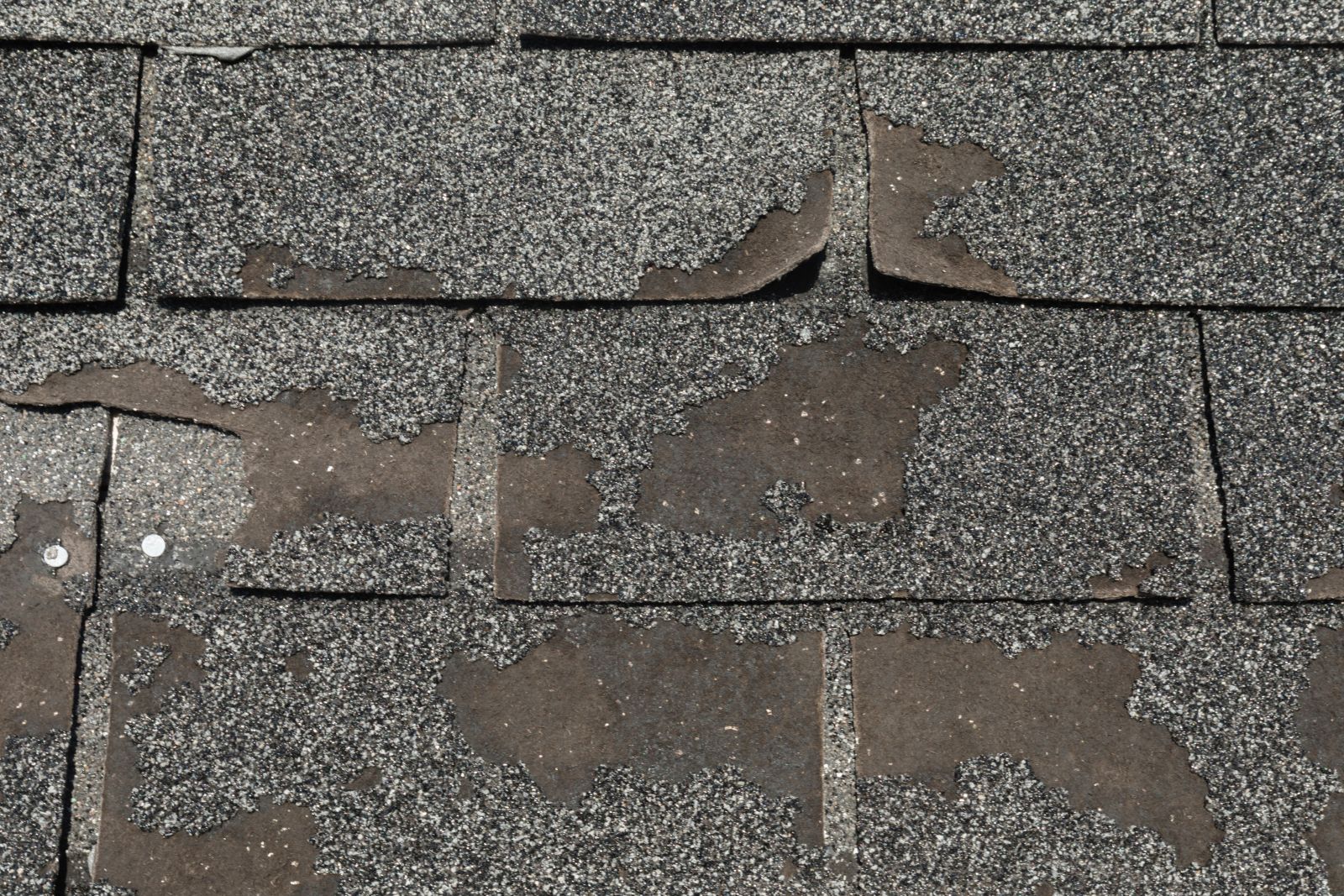 ZT Roofing and Construction Images